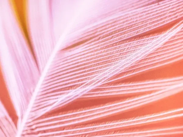 Inner Essence Podcast - Tools om beter voor jezelf te zorgen