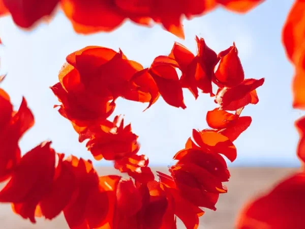 Inner Essence Podcast - Je hebt nooit geleerd om van jezelf te houden